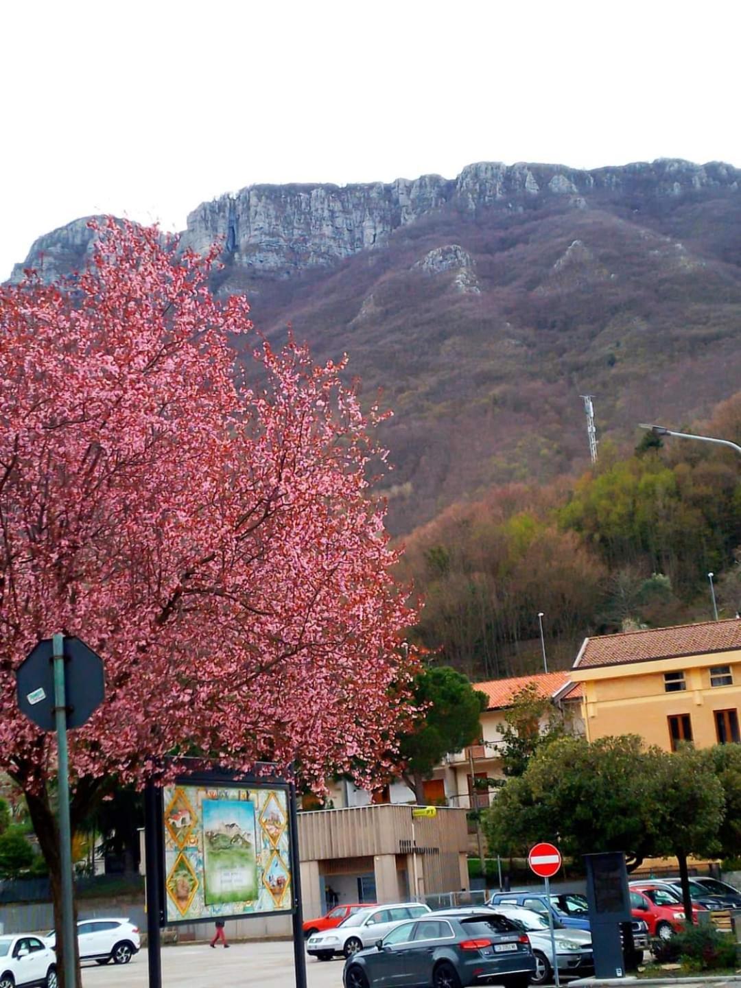 Sapori E Sapere Di Troisi Margherita Sicignano degli Alburni 外观 照片